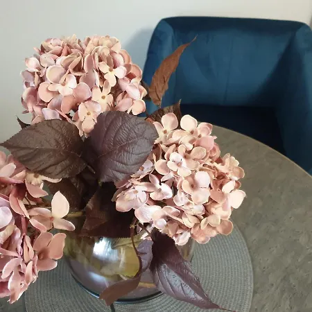 Scholz & Scholz Gbr Zimmervermietung Pensjonat Hoyerswerda