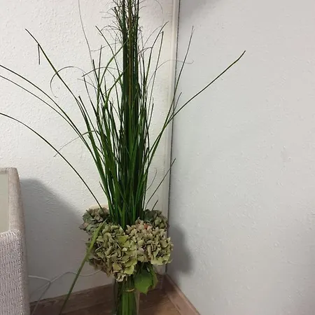 Scholz & Scholz Gbr Zimmervermietung Pensjonat Hoyerswerda