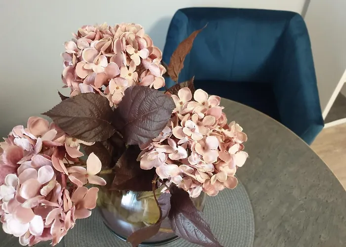 Scholz & Scholz Gbr Zimmervermietung Pensión Hoyerswerda