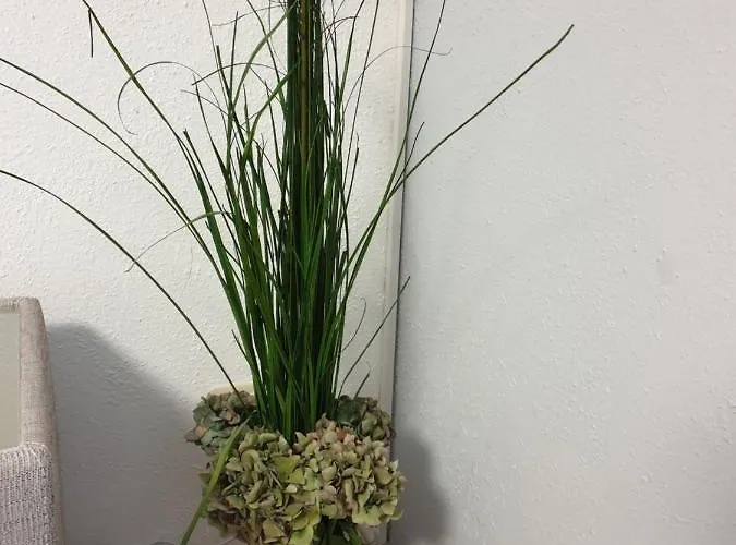 Scholz & Scholz Gbr Zimmervermietung Pensión Hoyerswerda