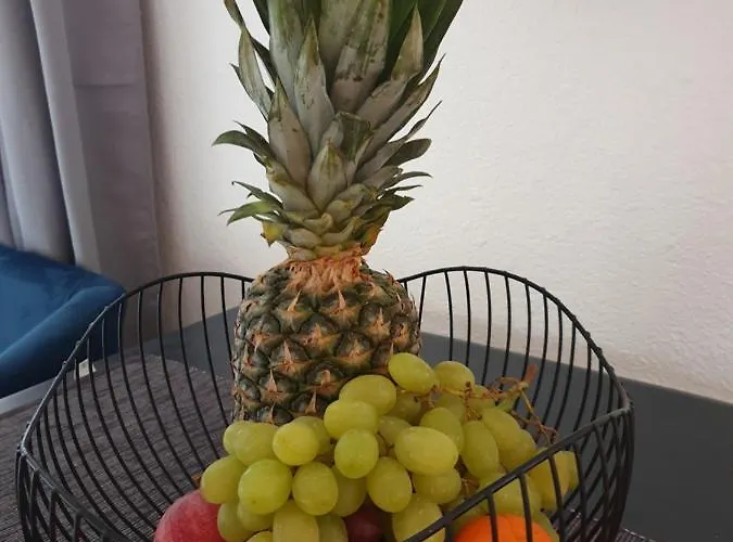 Scholz & Scholz Gbr Zimmervermietung Pensión