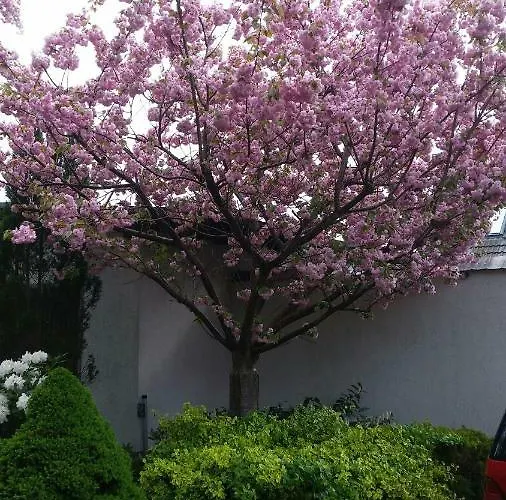 Pensión Scholz & Scholz Gbr Zimmervermietung 4*